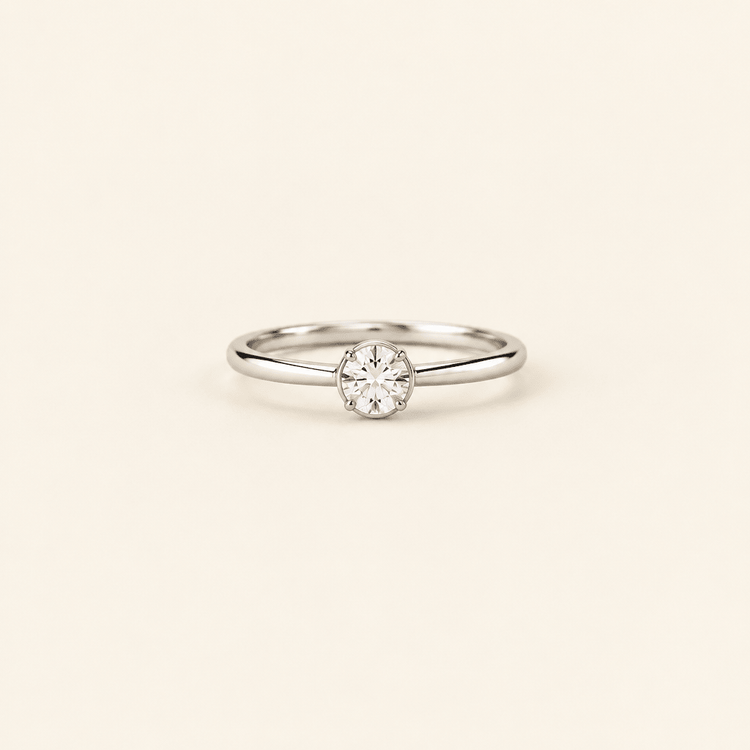 Anillos Talla 6 - Aurora Boré