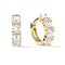 Aretes "Órbita Dorada" – Plata 925 con Zirconia